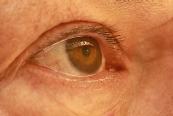 the wonder of the human eye close up 