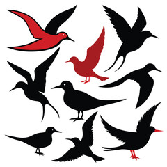 Set of arctic tern birds animal Silhouette Vector on a white background