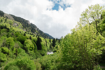 landscape with trees and clouds in Pyr&eacute;n&eacute;es