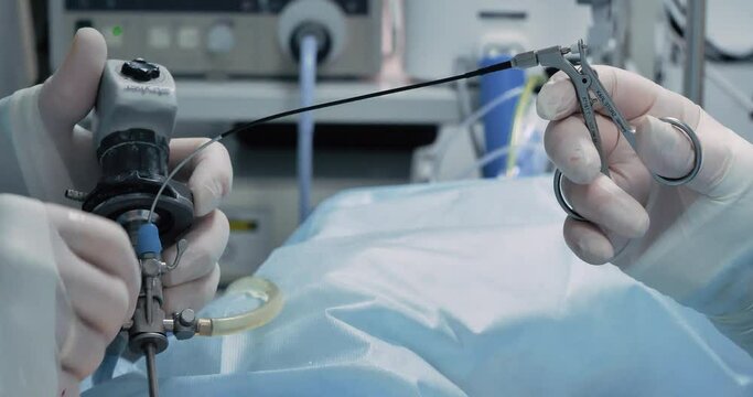 Taking a biopsy with forceps during an endoscopic operation in veterinary surgery. Close-up of endoscopy equipment in operation during surgery in a veterinary clinic.