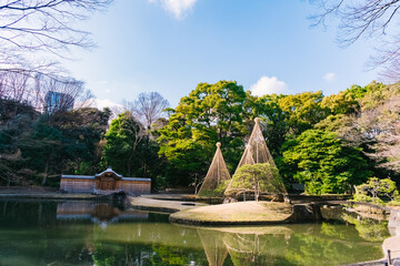 fountain in the park