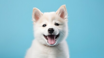 A puppy on pastel background. Copy space.