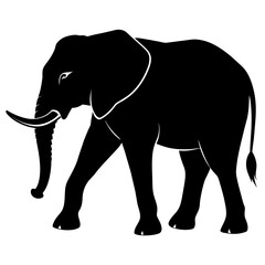 Fototapeta premium African elephant, walking vector silhouette, black color silhouette. white background