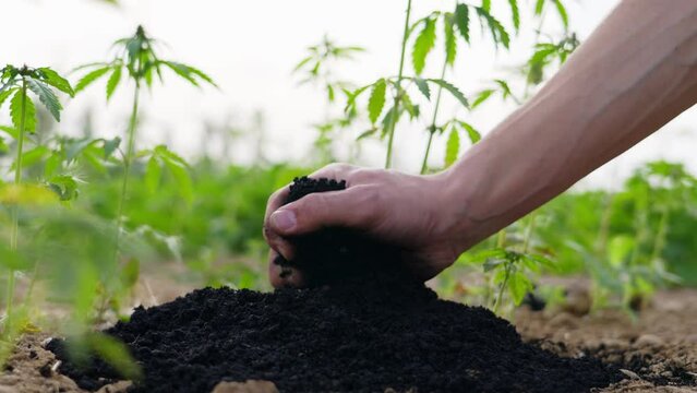 Biochar crumbles in a heap, coal particles falling, Pyrolysis, Decarbonization.