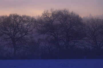 岩手県北上市　朝焼けの冬景色
