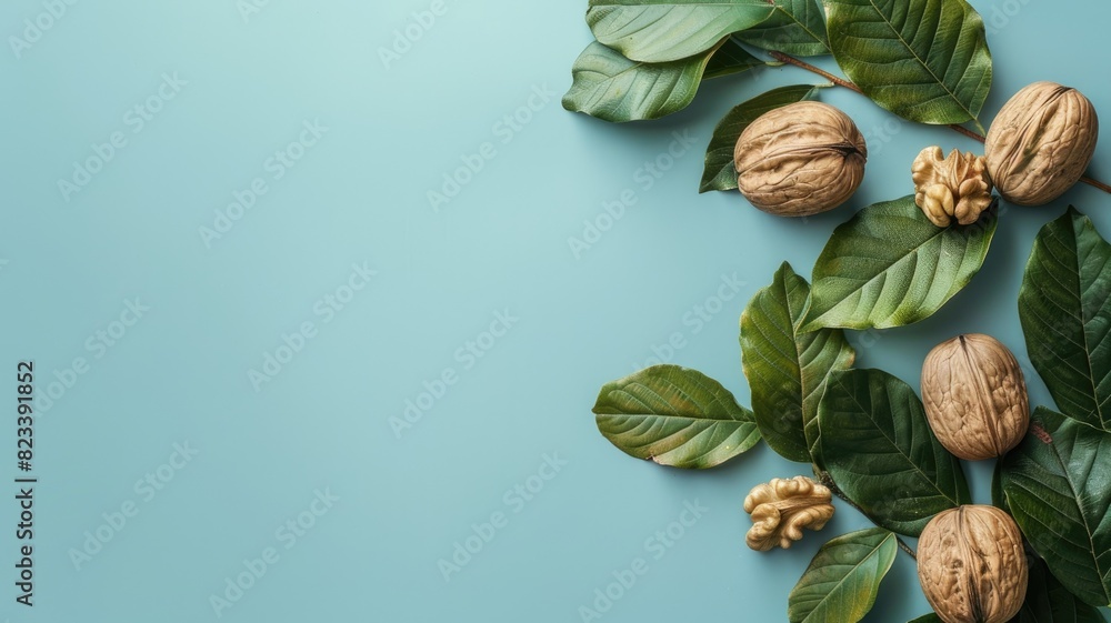 Wall mural walnut kernels and whole walnuts on blue backdrop with green leaves - Wall murals