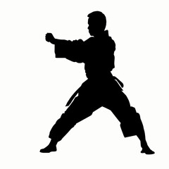 Obraz premium karate silhouette vector