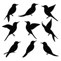 Set of bee eater birds animal Silhouette Vector on a white background