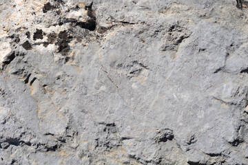 Detail of a stone surface on a sunny day