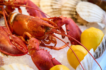 Lobster and seafood in ice on a market