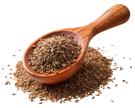cumin seeds in a wooden spoon