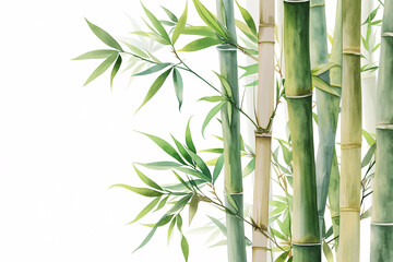 Artistic illustration of bamboo stalks and leaves in watercolor style