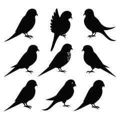 Set of budgerigar birds animal Silhouette Vector on a white background