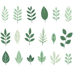 Various Green Leaf Illustrations Collection
