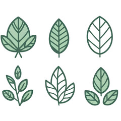 Fototapeta premium Various Green Leaf Illustrations Collection 