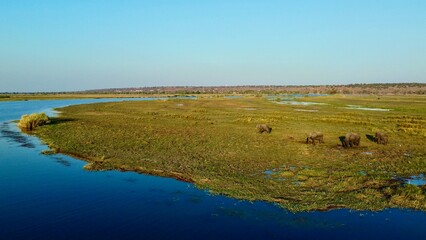Elephants in Chobe National Park