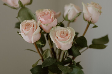 Subtle sophistication meets natural charm in the gentle hues of pink roses