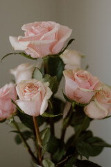 Subtle sophistication meets natural charm in the gentle hues of pink roses