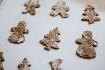 Warmth and holiday cheer with festive gingerbread cookies, perfect for sweet moments with loved ones
