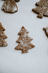 Warmth and holiday cheer with festive gingerbread cookies, perfect for sweet moments with loved ones