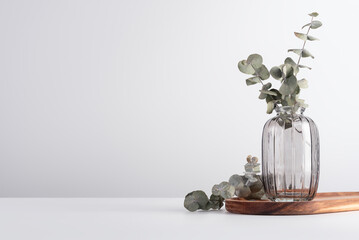 Beautiful eucalyptus branches in glass vase