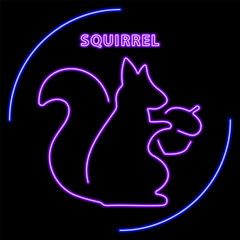 squirrel neon sign, modern glowing banner design, colorful modern design trend on black background. Vector illustration.