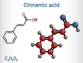 Cinnamic acid molecule.  Structural chemical formula and molecule model.