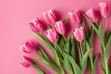Fototapeta premium Pink Tulips on Pastel Pink Background, Flat Lay Top View