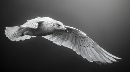 Diamond bird captured in flight, minimalist studio scene