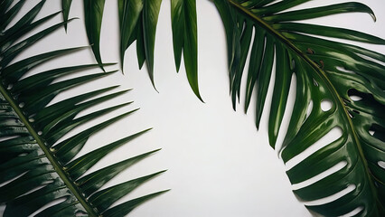 Tropical green palm leaves cut out, green tropical. Generative AI
