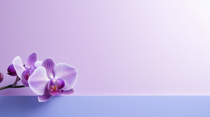 contemporary purple floral background