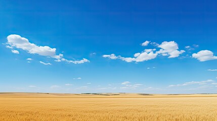 Fototapeta na wymiar vast farmland blue sky