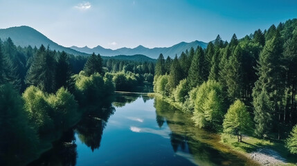 Mountain lake with pine forest in the morning sunny day. Peaceful serene river landscape background.