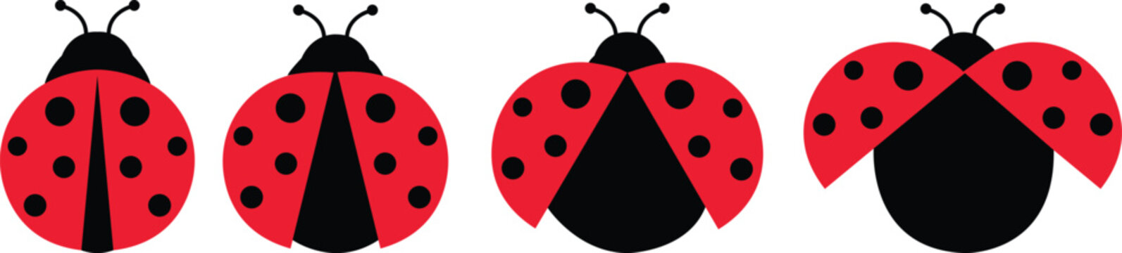 ladybug set. Vector dotted or polka dot pattern. Let spring begin. ladybug sign represents protection, resistance, luck and prosperity, but also symbol of senseless violence. on transparent background