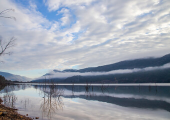 Dead trees reflect in the calm lake water early in the morning, Lake Bellfield, Grampians, South Australia