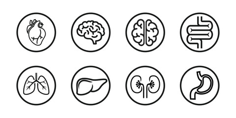 set design of human organs, heart, liver, stomach, intestines, kidneys, lungs, brain, outline style, solid and colored, editable vector eps 10.