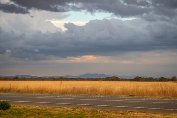 Obraz premium Road against a backdrop of yellow agricultural fields and dramatic cloudy skies, South Australia