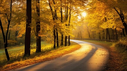 trees golden fall scene