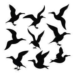 Set of gannet bird animal Silhouette Vector on a white background