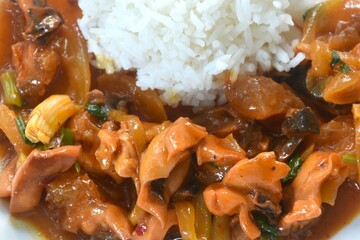 stir-fried squid with salt egg topping plain rice on dish