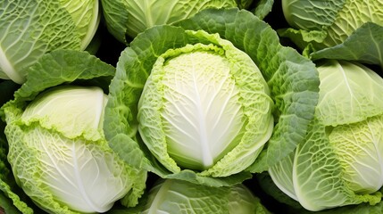 Obraz premium farmer organic cabbage vegetable