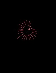 Fototapeta premium 打上げ花火