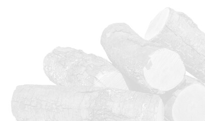 Wood tree white background