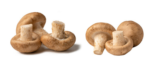 Mushroom on white background with clipping path, healthy food concept.