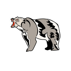 Bear illustration PNG
