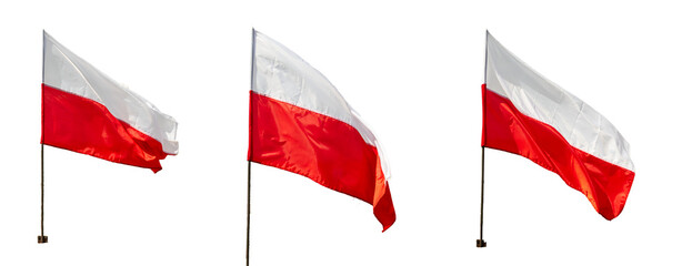 Poland flag on white isolated background