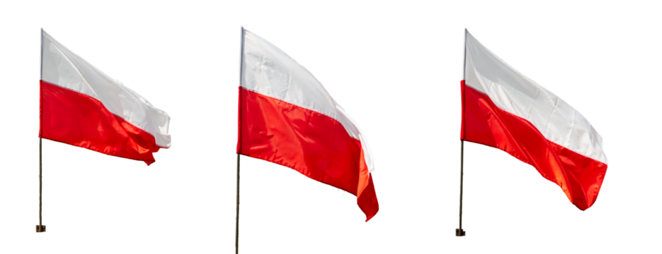 Poland flag on white isolated background