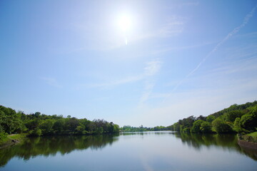 晴れ渡る空と木々の緑と水面