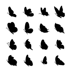Butterfly icon set. Black butterflies silhouettes isolated on white background