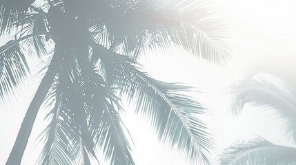 palm trees dancing on a creamy white surface, epitomizing minimalistic and modern design elements, complete with clean lines and ambient lighting.